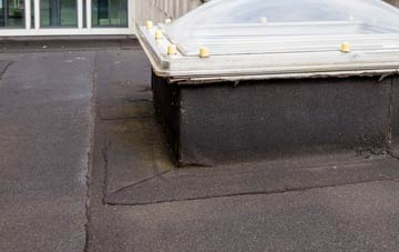 disadvantages of Moneyreagh flat roofs