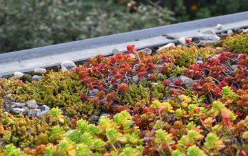 the cost of Moneyreagh green roof installation