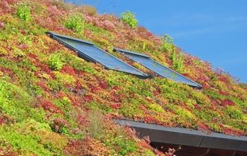 Moneyreagh living roof systems