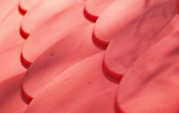 Moneyreagh plastic roof costs