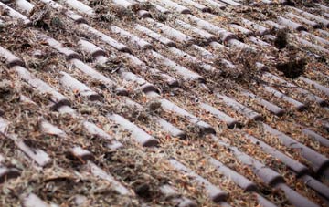 Moneyreagh roof cleaning companies