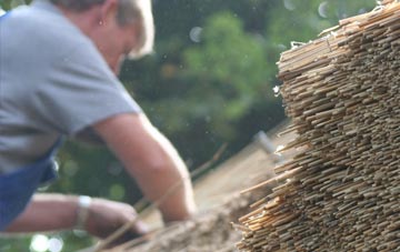 professional Moneyreagh thatchers