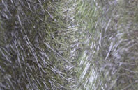 Moneyreagh fibreglass roof work